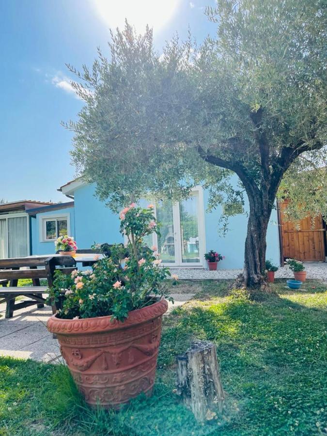 B&B La Rosa Nel Verde Lukka Zewnętrze zdjęcie