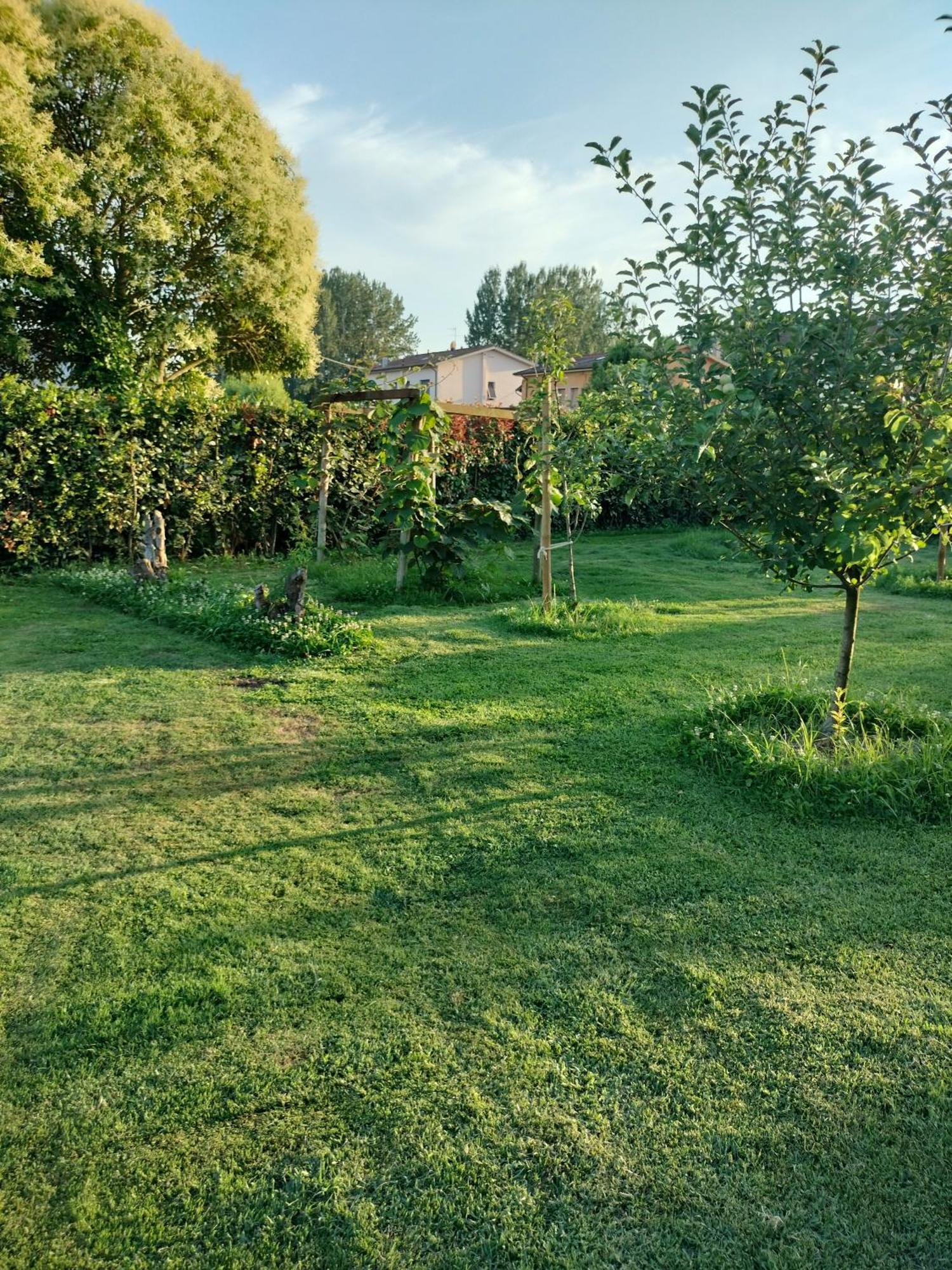 B&B La Rosa Nel Verde Lukka Zewnętrze zdjęcie